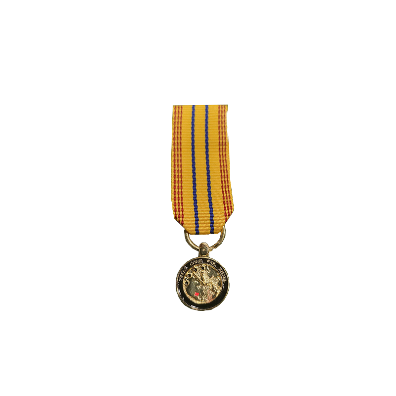 Texas cold war medal mini gold sdf awards inc
