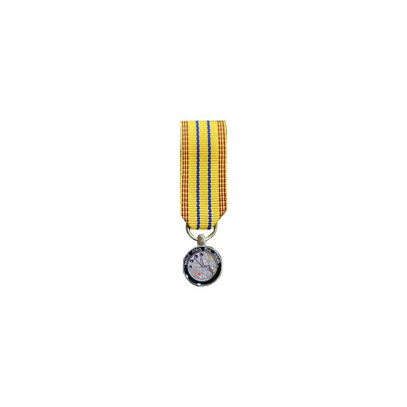 Texas cold war medal mini standard sdf awards inc